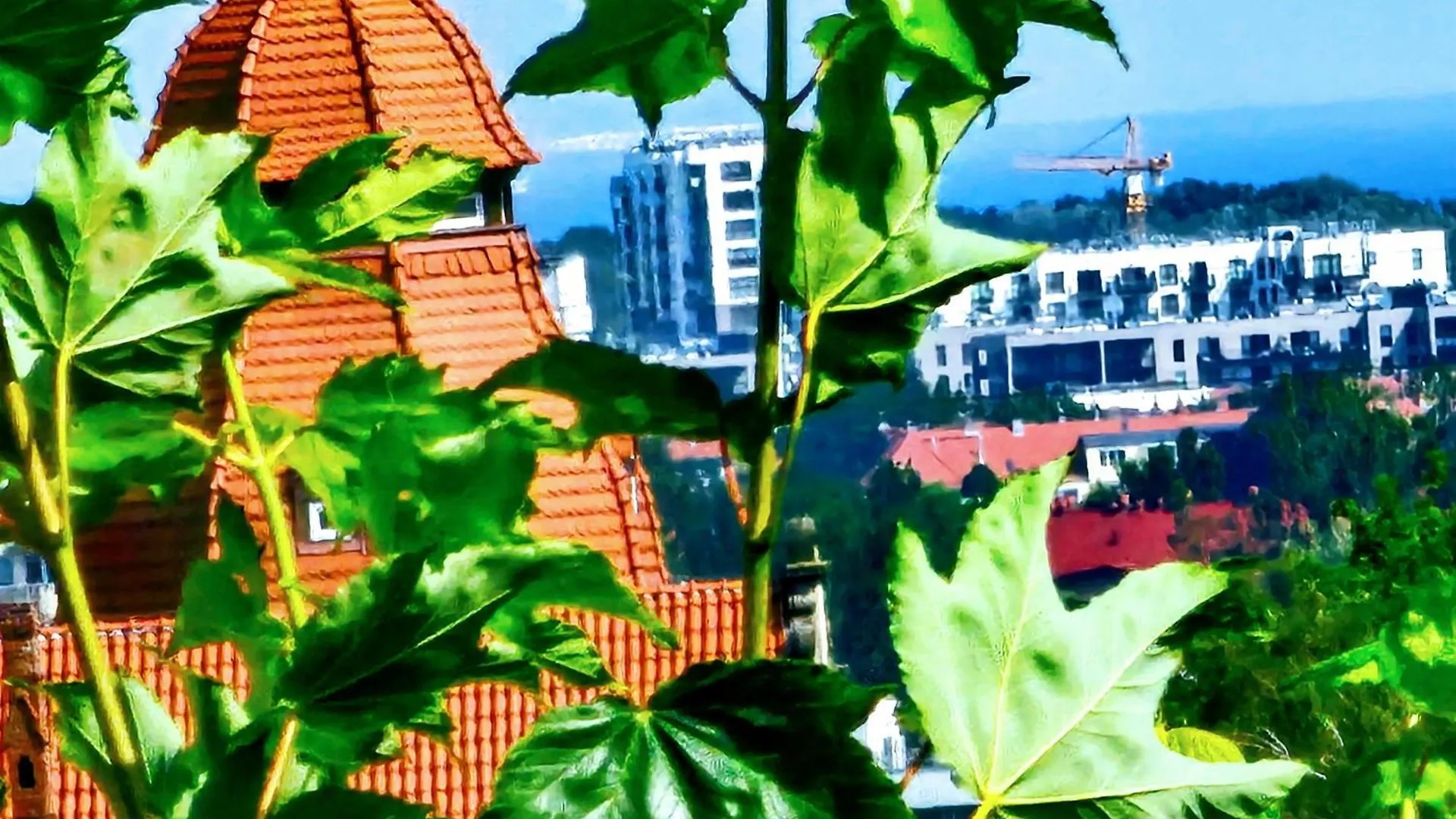 Daire Tanie Noclegi Gdansk